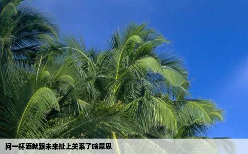 问一杯酒就跟未来扯上关系了啥意思