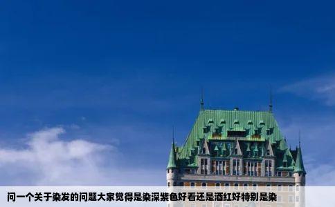 问一个关于染发的问题大家觉得是染深紫色好看还是酒红好特别是染