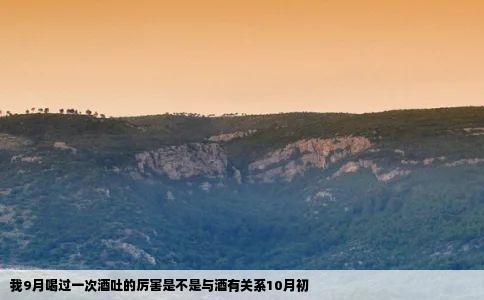 我9月喝过一次酒吐的厉害是不是与酒有关系10月初