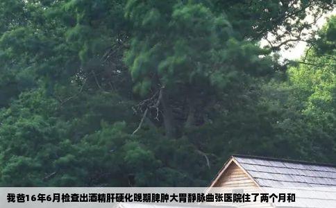 我爸16年6月检查出酒精肝硬化晚期脾肿大胃静脉曲张医院住了两个月和