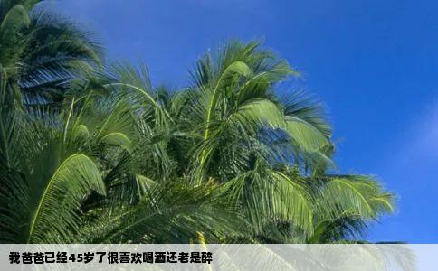 我爸爸已经45岁了很喜欢喝酒还老是醉