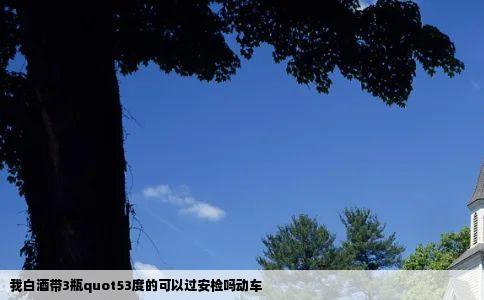 我白酒带3瓶quot53度的可以过安检吗动车