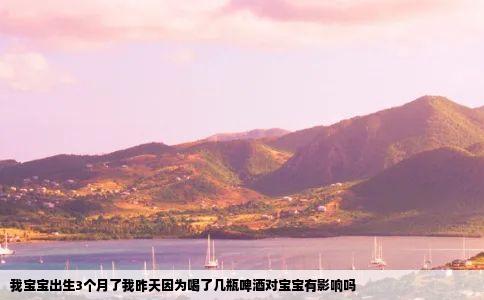 我宝宝出生3个月了我昨天因为喝了几瓶啤酒对宝宝有影响吗