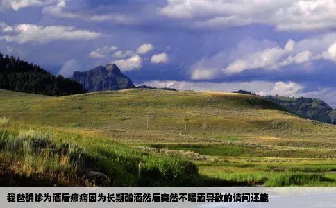 我爸确诊为酒后癫痫因为长期酗酒然后突然不喝酒导致的请问还能