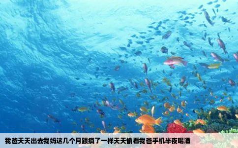 我爸天天出去我妈这几个月跟疯了一样天天偷看我爸手机半夜喝酒