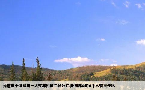我爸由于酒驾与一大挂车相撞当场死亡和他喝酒的6个人有责任吧