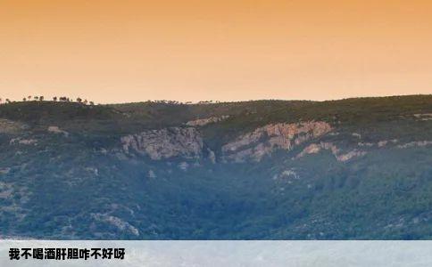 我不喝酒肝胆咋不好呀