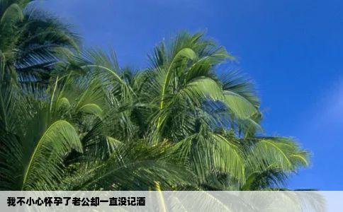 我不小心怀孕了老公却一直没记酒