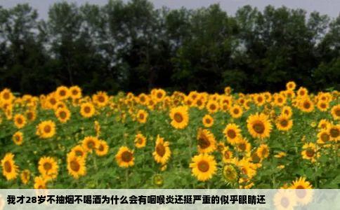 我才28岁不抽烟不喝酒为什么会有咽喉炎还挺严重的似乎眼睛还