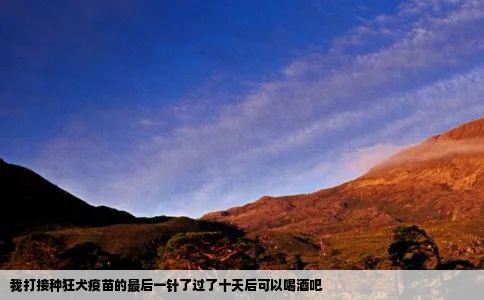我打接种狂犬疫苗的最后一针了过了十天后可以喝酒吧