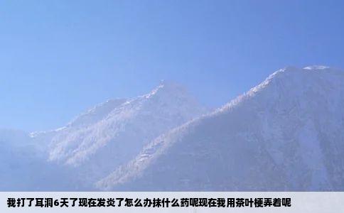我打了耳洞6天了现在发炎了怎么办抹什么药呢现在我用茶叶梗弄着呢