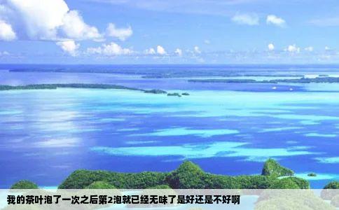 我的茶叶泡了一次之后第2泡就已经无味了是好还是不好啊
