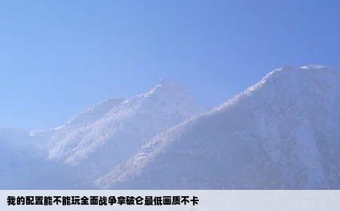 我的配置能不能玩全面战争拿破仑最低画质不卡