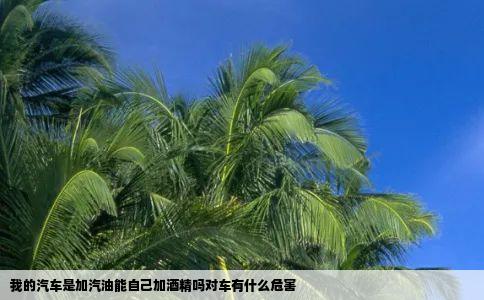 我的汽车是加汽油能自己加酒精吗对车有什么危害