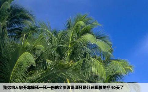 我弟给人家开车撞死一死一伤他全责没喝酒只是超速现被关押40天了