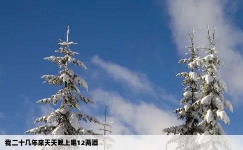 我二十几年来天天晚上喝12两酒