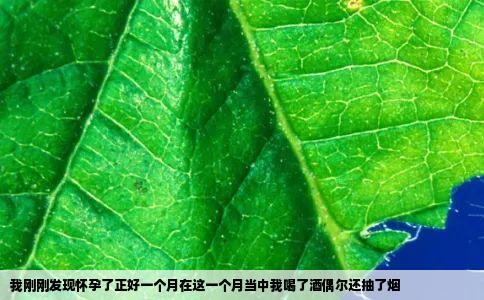 我刚刚发现怀孕了正好一个月在这一个月当中我喝了酒偶尔还抽了烟