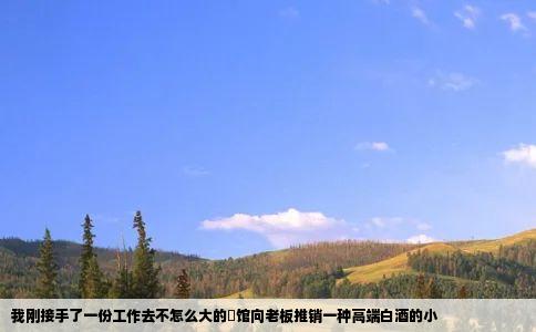 我刚接手了一份工作去不怎么大的歺馆向老板推销一种高端白酒的小