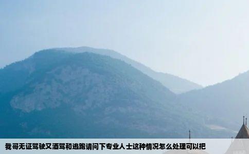 我哥无证驾驶又酒驾和逃跑请问下专业人士这种情况怎么处理可以把