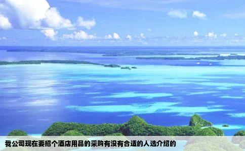 我公司现在要招个酒店用品的采购有没有合适的人选介绍的