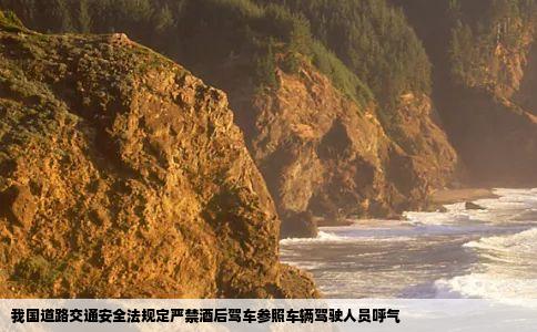 我国道路交通安全法规定严禁酒后驾车参照车辆驾驶人员呼气