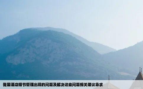 我国酒店细节管理出现的问题及解决这些问题相关建议急求