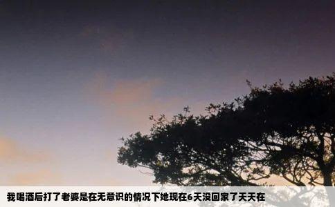 我喝酒后打了老婆是在无意识的情况下她现在6天没回家了天天在