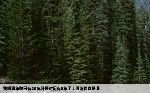 我喝酒年龄已有20年肝疼时间有5年了上医院检查是酒