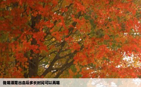 我喝酒胃出血后多长时间可以再喝