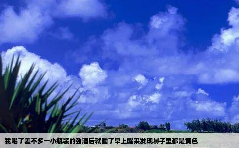 我喝了差不多一小瓶装的劲酒后就睡了早上醒来发现鼻子里都是黄色