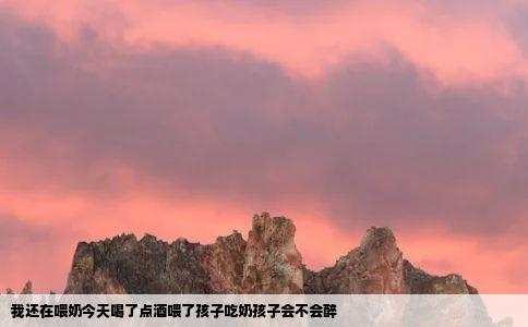 我还在喂奶今天喝了点酒喂了孩子吃奶孩子会不会醉