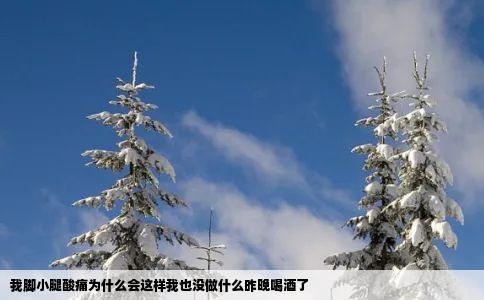 我脚小腿酸痛为什么会这样我也没做什么昨晚喝酒了