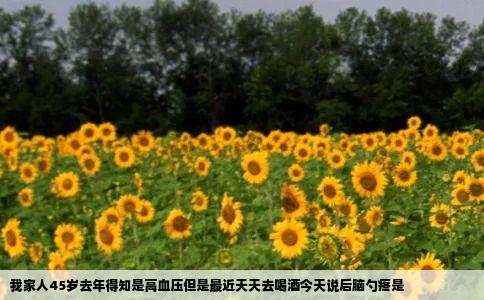 我家人45岁去年得知是高血压但是最近天天去喝酒今天说后脑勺疼是