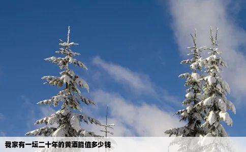 我家有一坛二十年的黄酒能值多少钱