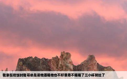 我家在吃饭时我哥总是灌他酒喝他也不好意思不喝喝了三小杯就吐了