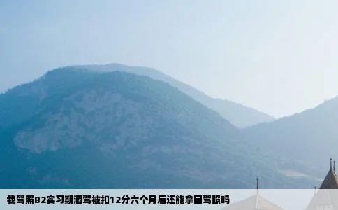 我驾照B2实习期酒驾被扣12分六个月后还能拿回驾照吗
