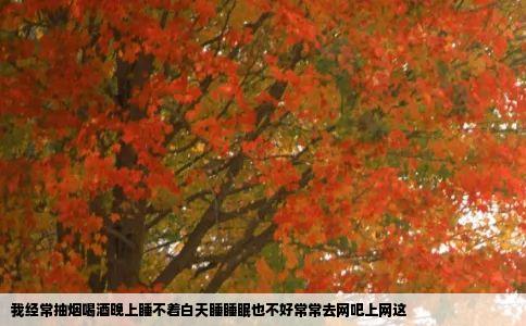 我经常抽烟喝酒晚上睡不着白天睡睡眠也不好常常去网吧上网这