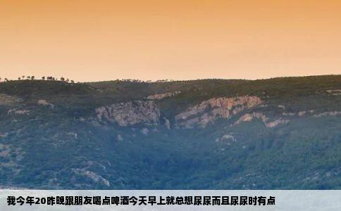 我今年20昨晚跟朋友喝点啤酒今天早上就总想尿尿而且尿尿时有点