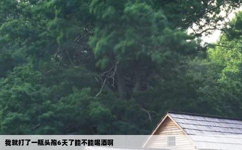 我就打了一瓶头孢6天了能不能喝酒啊