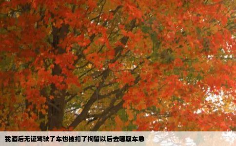 我酒后无证驾驶了车也被扣了拘留以后去哪取车急