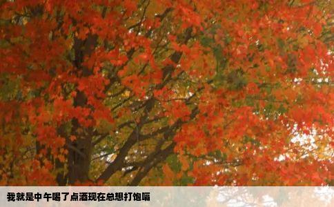 我就是中午喝了点酒现在总想打饱嗝