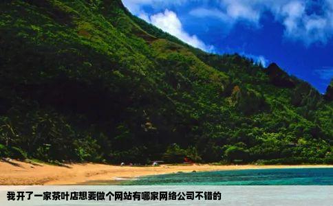 我开了一家茶叶店想要做个网站有哪家网络公司不错的