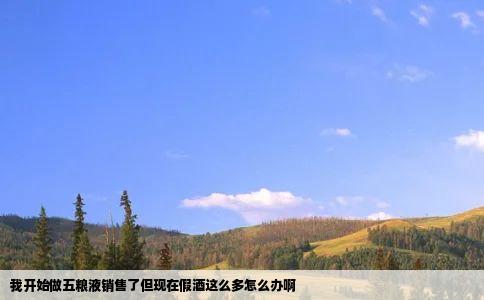 我开始做五粮液销售了但现在假酒这么多怎么办啊