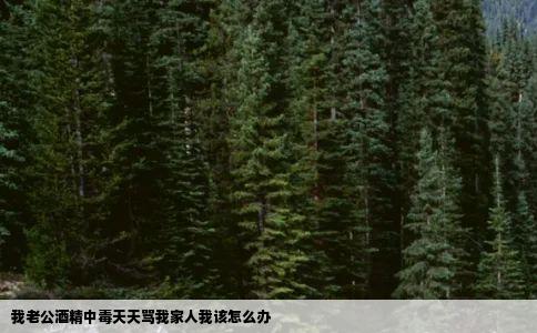 我老公酒精中毒天天骂我家人我该怎么办