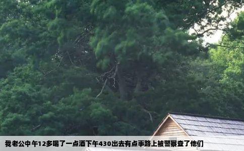 我老公中午12多喝了一点酒下午430出去有点事路上被警察查了他们