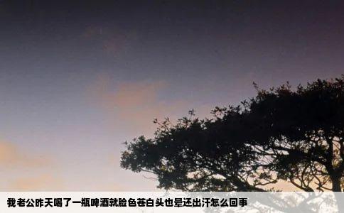 我老公昨天喝了一瓶啤酒就脸色苍白头也晕还出汗怎么回事