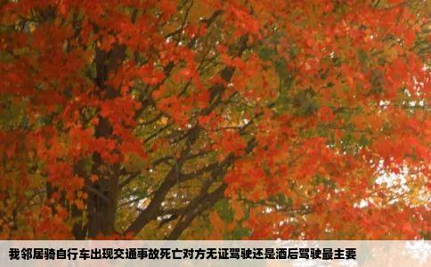 我邻居骑自行车出现交通事故死亡对方无证驾驶还是酒后驾驶最主要