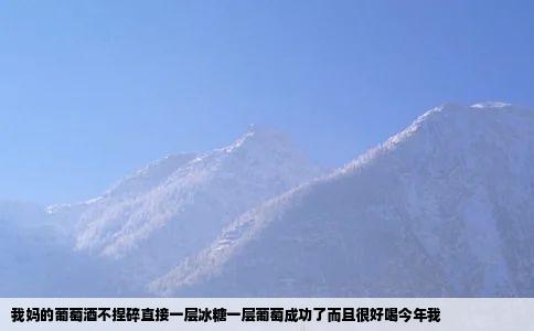 我妈的葡萄酒不捏碎直接一层冰糖一层葡萄成功了而且很好喝今年我