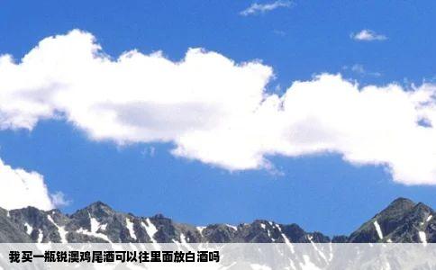 我买一瓶锐澳鸡尾酒可以往里面放白酒吗