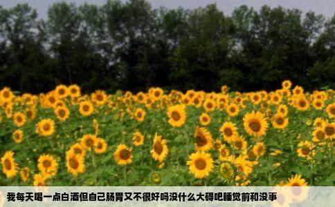 我每天喝一点白酒但自己肠胃又不很好吗没什么大碍吧睡觉前和没事